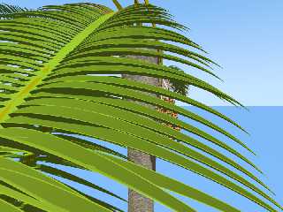 palmleaf.png