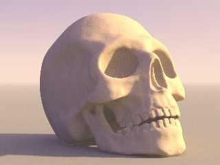 skullnewside-iso2m_38.jpg