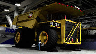 cat-797b.jpg