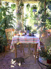 indoor garden.jpg