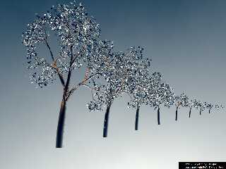 tree12_(lj.lapre)_04.png