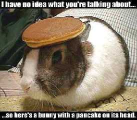 bunny-pancake.jpg