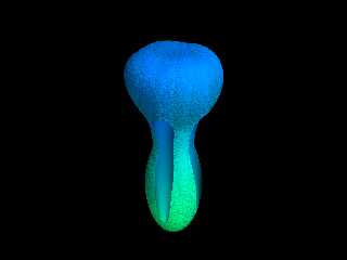 mushroom001.png