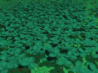 3clover4.jpg