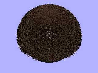 hair.jpg