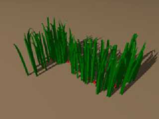 grass007.jpg