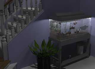 fish tank 3.jpg