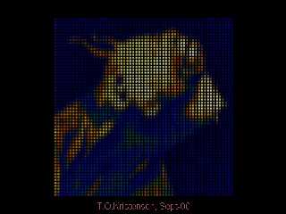 imagemosaic01.jpg