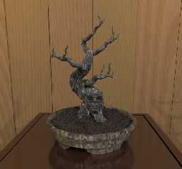 dead-bonsai.jpg