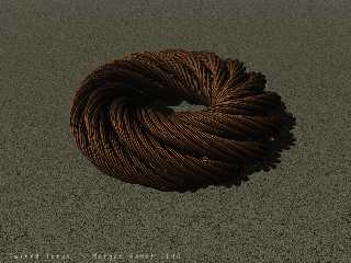 twined_torus.jpg