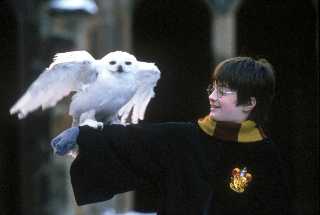 harrypotter_lowres.jpg