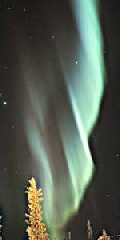 AuroraModel.jpg