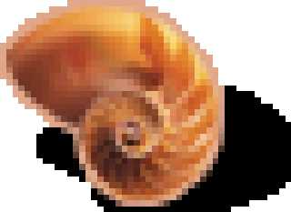 nautilus.png