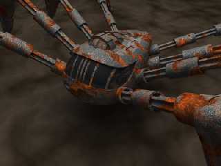 close-spider1.jpg