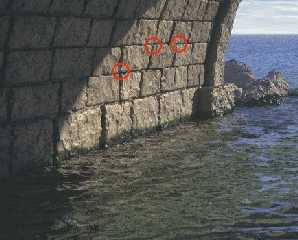 Edges.jpg