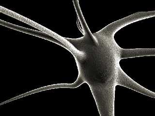 neurons3.jpg