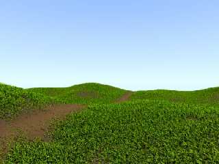 grassreal2.jpg