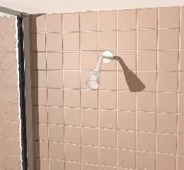 Shower2.jpg
