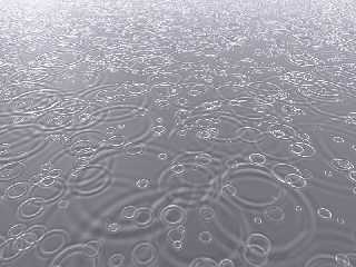 puddle.jpg