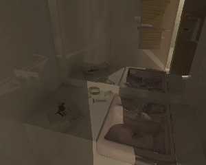 bathroom07_gamma.jpg