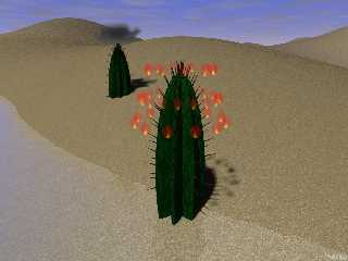 Cactus Halo.jpg