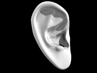 Ear01.jpg