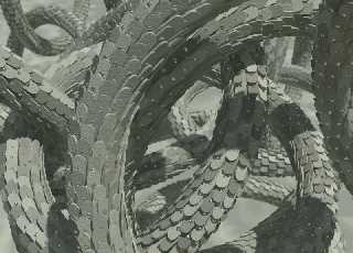10_04scalessnakes.jpg