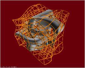 nurbs_nsss_02.jpg