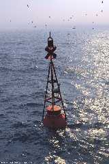 sea-buoy-061119-2.jpg