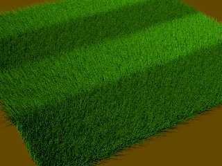 grass3.jpg
