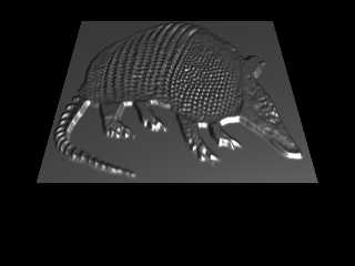 armadillo.png