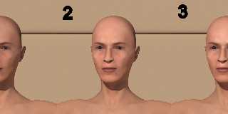 PoserFiguretest_comb.jpg