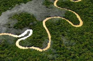 amazonas-07.jpg