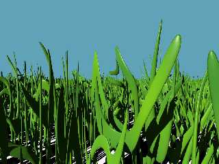 grass_closeup.jpg
