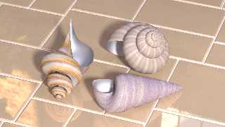 shells.png