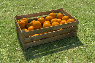 oranges-box-03-ssltpp.jpg
