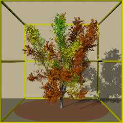 povtree_test.png