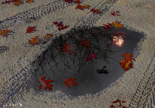 puddle_06.jpg
