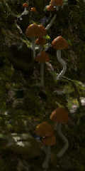 crystals-cave-09-detail-dick.jpg