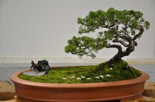 027.jpg