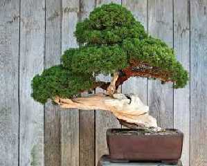 images6.jpg