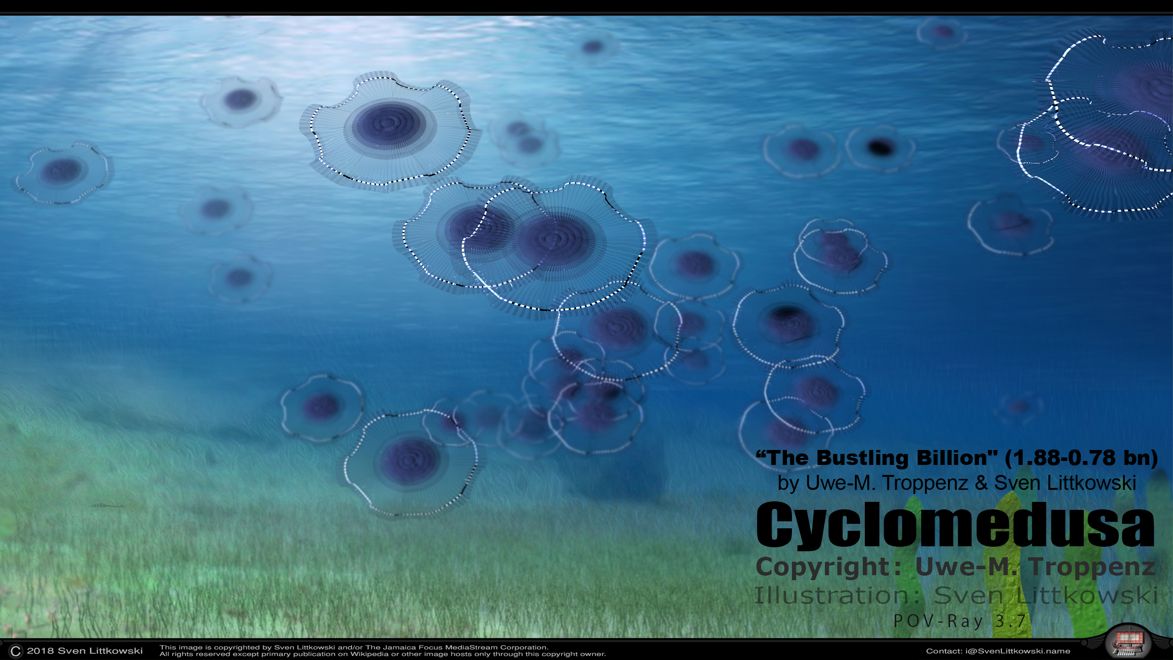 cyclomedusa.jpg