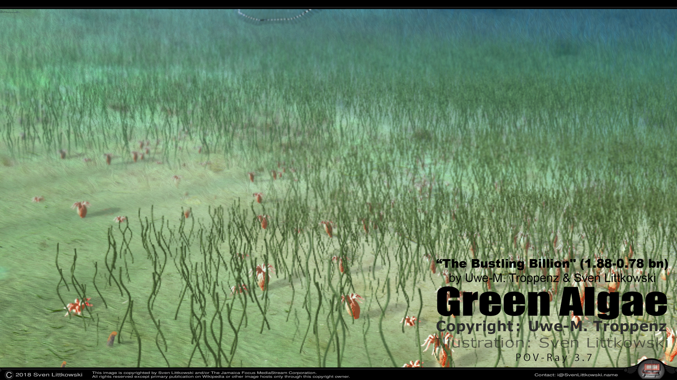 green algae.jpg