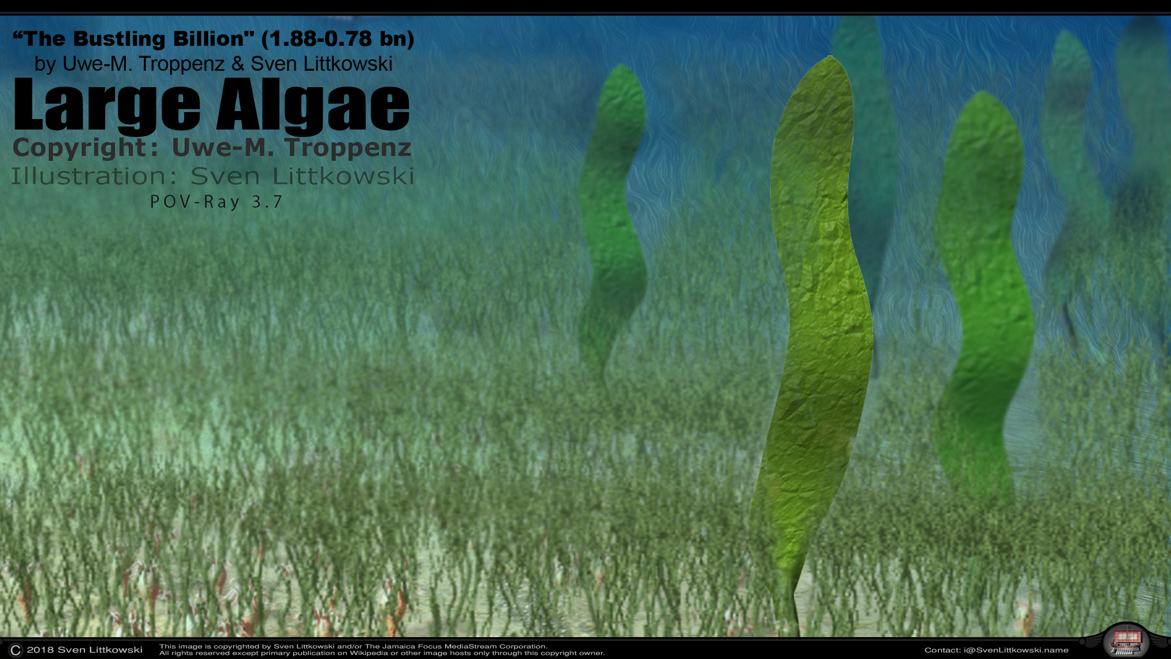 large algae.jpg