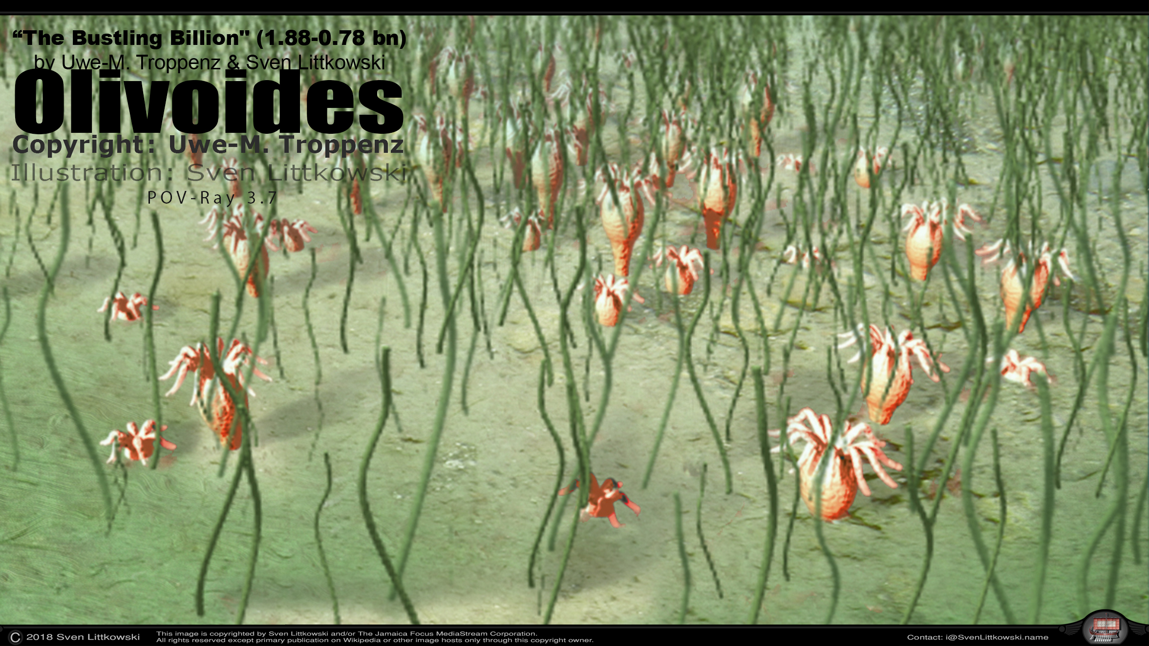 olivoides.jpg