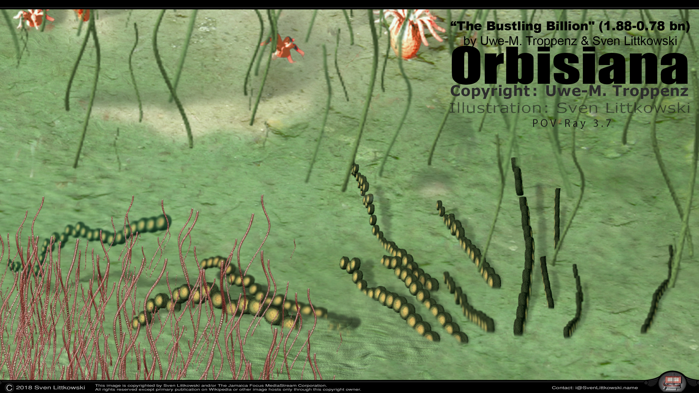 orbisiana.jpg