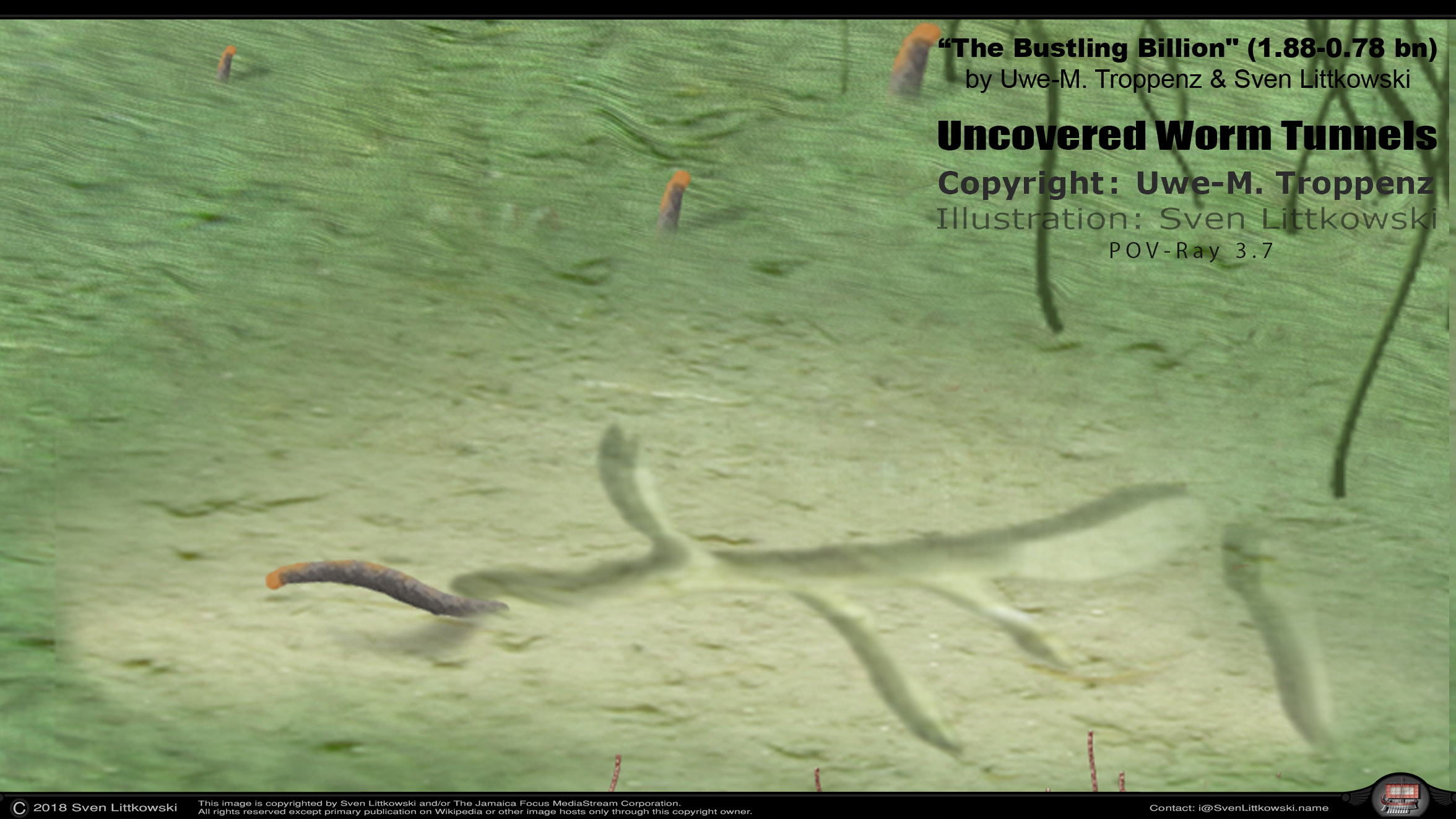 uncovered worm tunnels.jpg