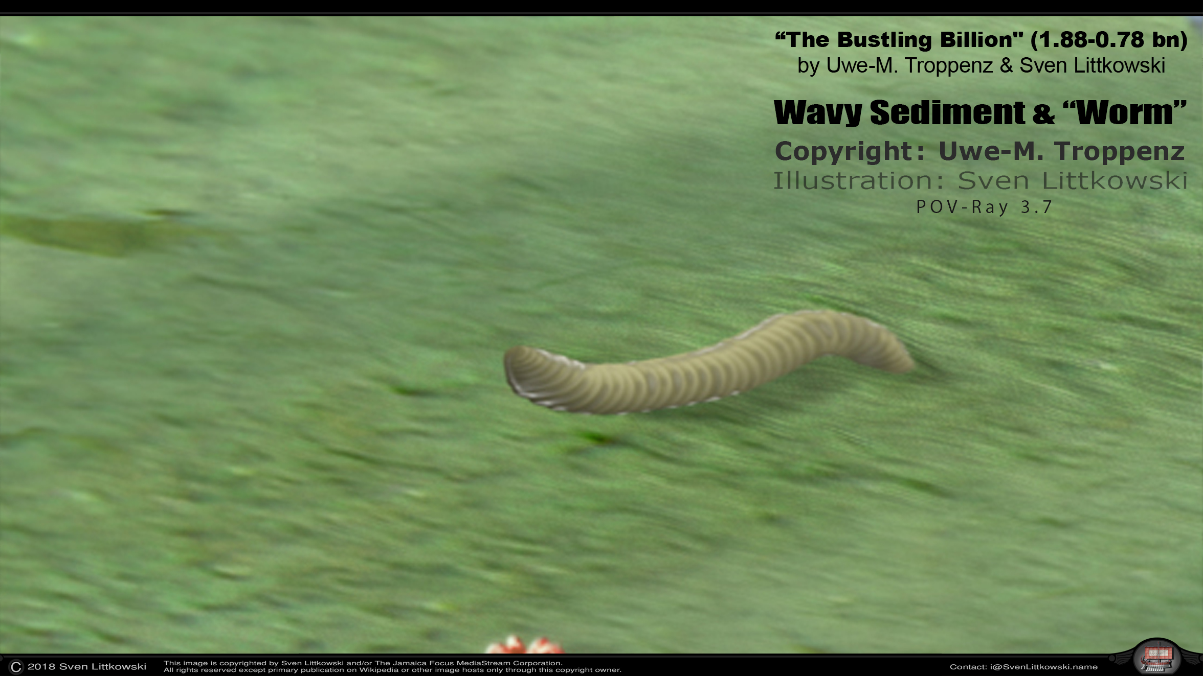 wavy sediment & worm.jpg