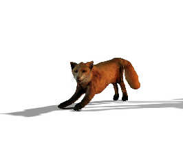 Fox_4_1.jpg