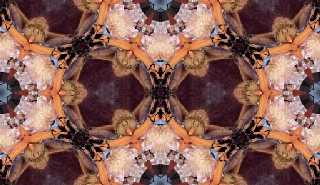 Tile_Sample.jpg